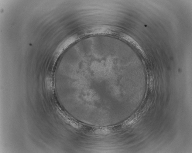 X0000078240882200611251236