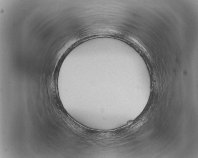 X0000078240883200611251236