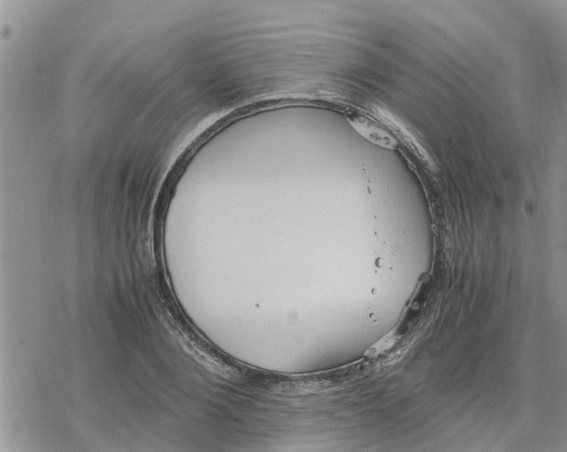 X0000078240884200611251236