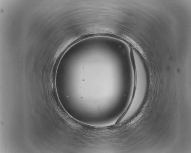 X0000078240885200611251236