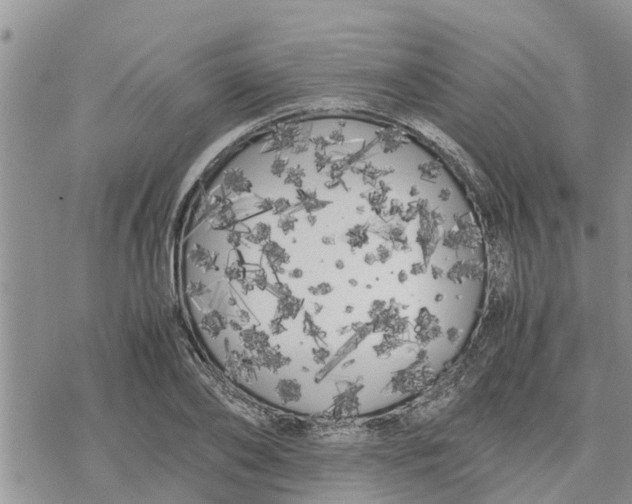 X0000078240886200611251236