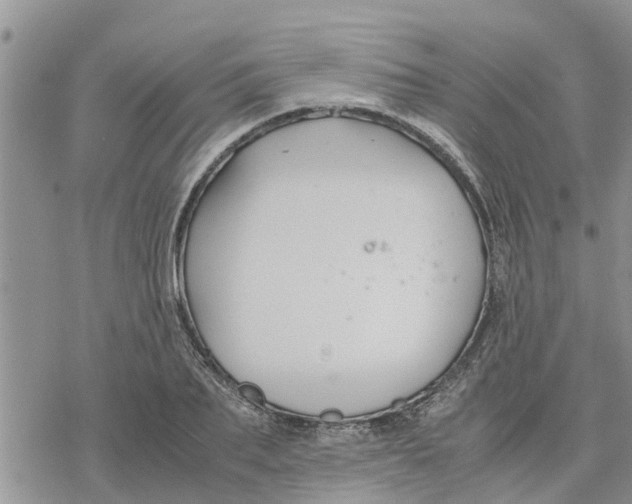 X0000078240887200611251236