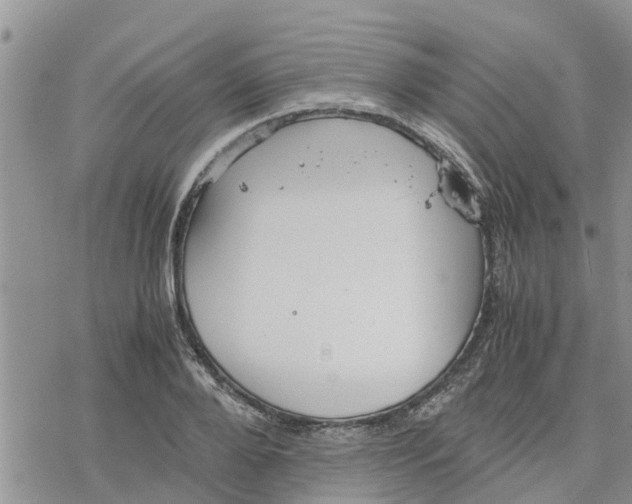 X0000078240888200611251236