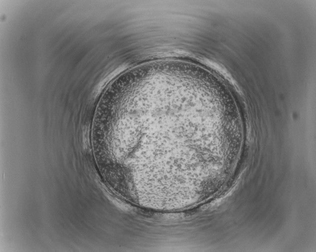 X0000078240889200611251236