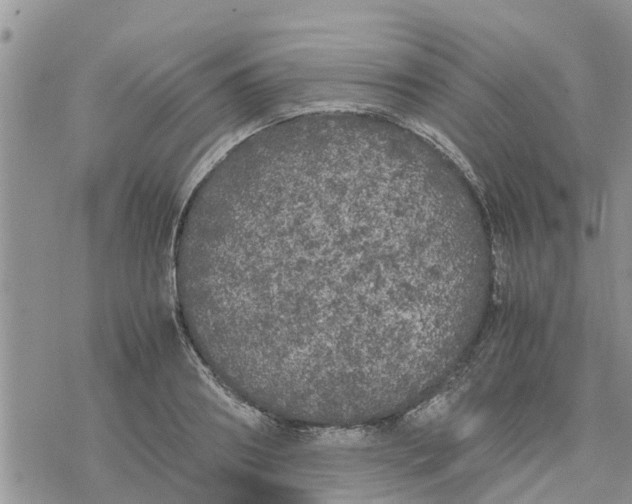 X0000078240890200611251236