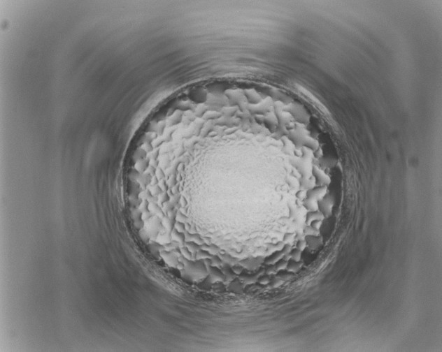 X0000078240891200611251236