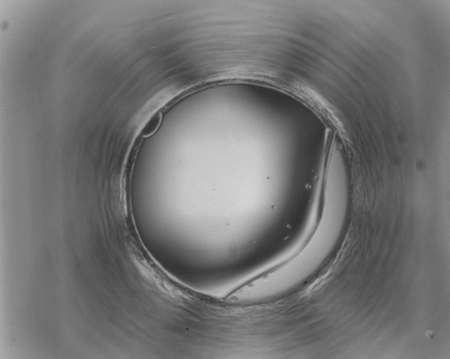 X0000078240892200611251236