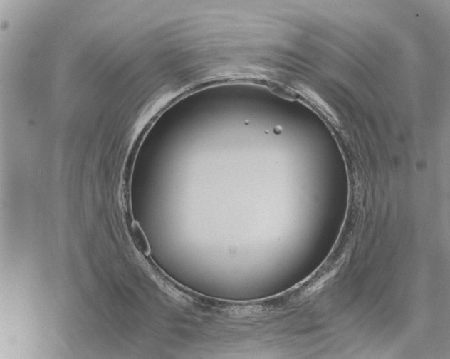 X0000078240893200611251236