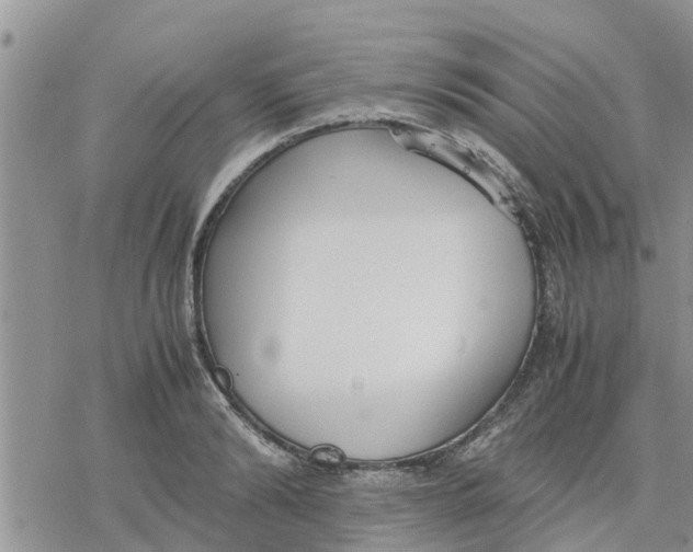 X0000078240894200611251236