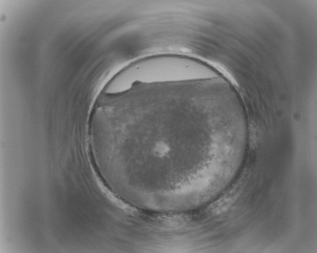 X0000078240895200611251236