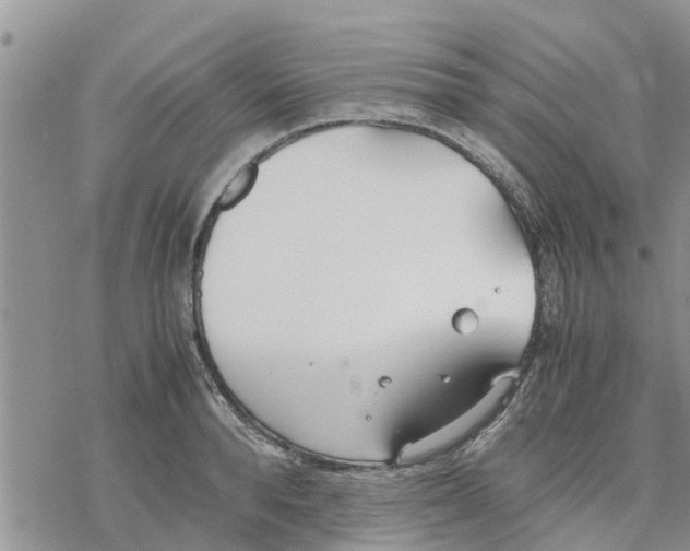 X0000078240896200611251236