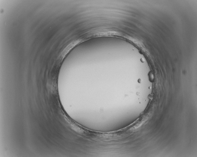 X0000078240897200611251236