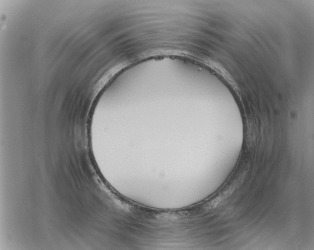 X0000078240898200611251236