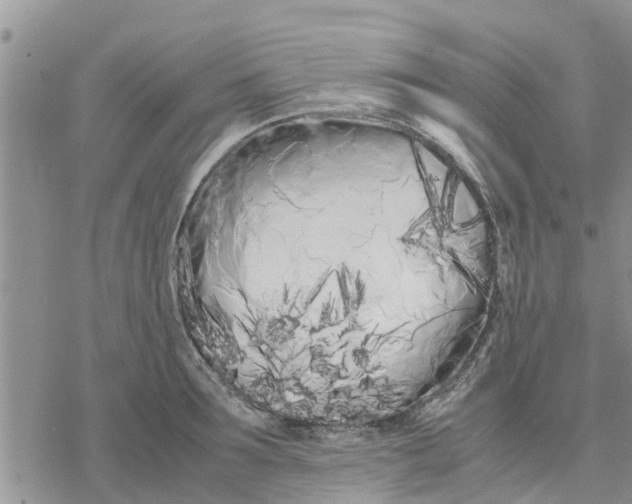 X0000078240899200611251236