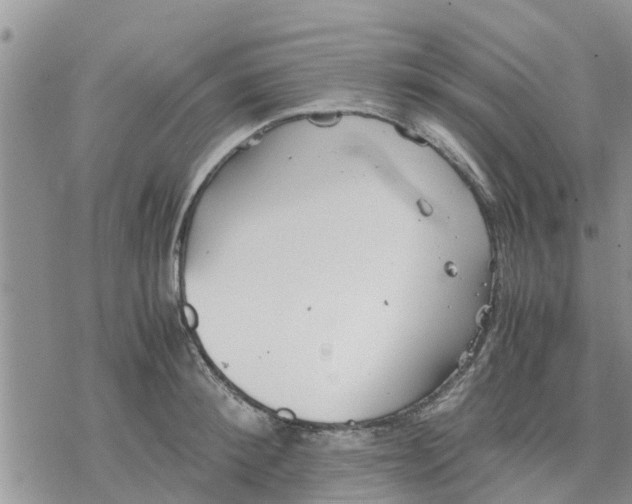 X0000078240900200611251236