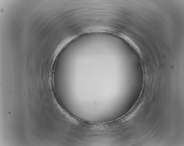 X0000078240901200611251236