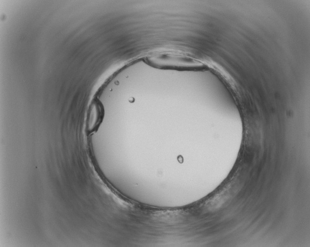 X0000078240902200611251236