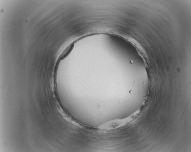 X0000078240904200611251236