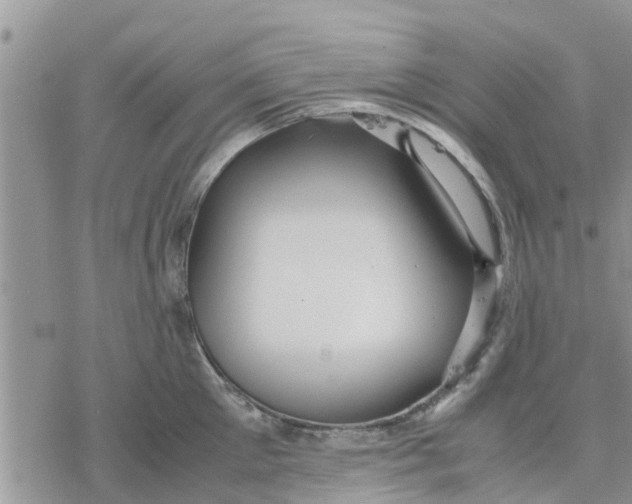 X0000078240905200611251236