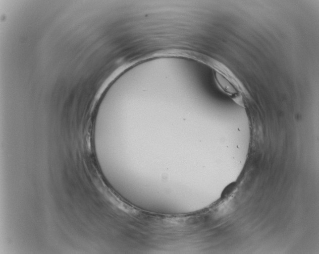 X0000078240908200611251236