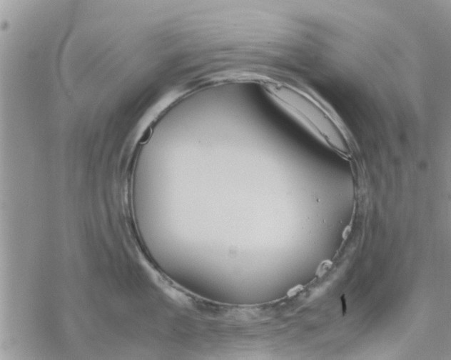 X0000078240909200611251236