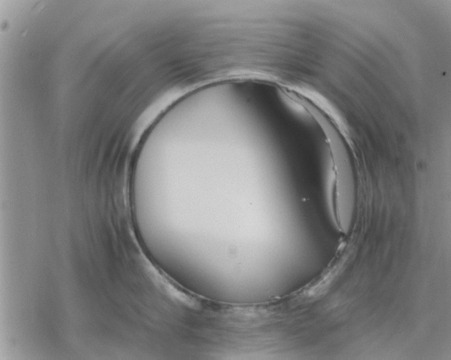 X0000078240910200611251236