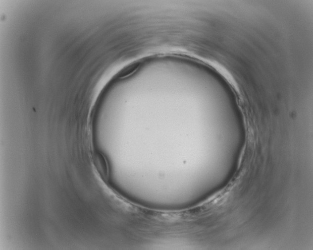 X0000078240911200611251236