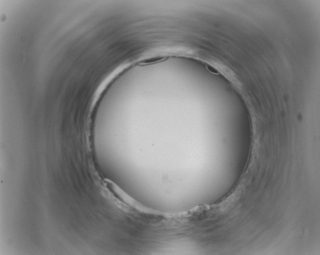 X0000078240912200611251236