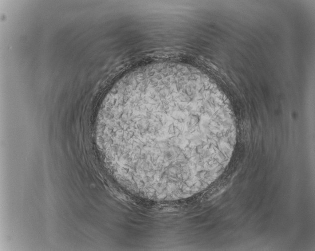 X0000078240913200611251235