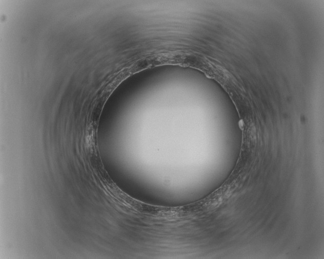 X0000078240914200611251235