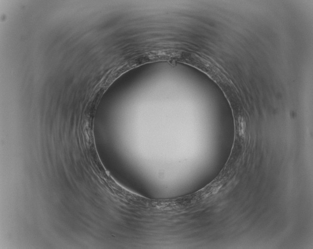 X0000078240915200611251235