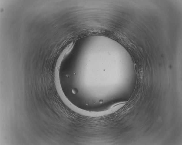 X0000078240916200611251235