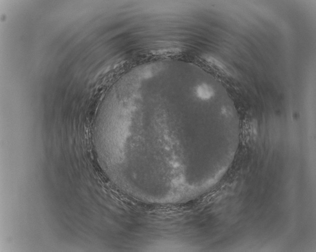 X0000078240917200611251235