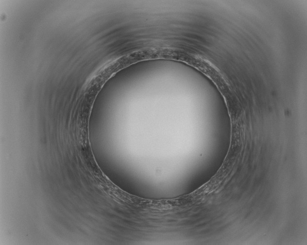 X0000078240919200611251235