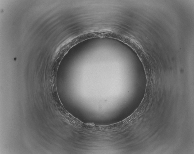 X0000078240920200611251235