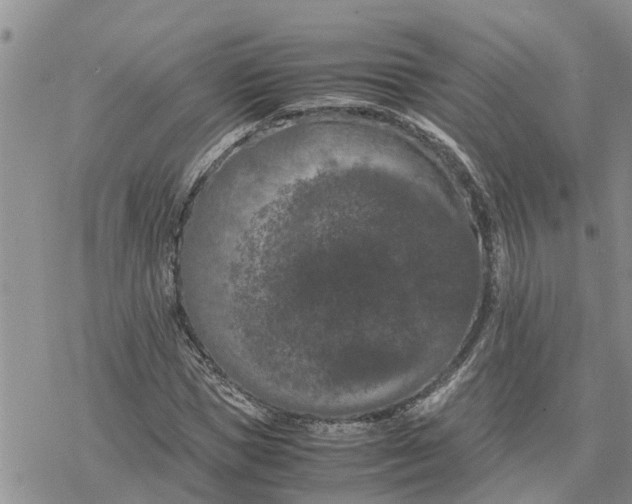 X0000078240921200611251235