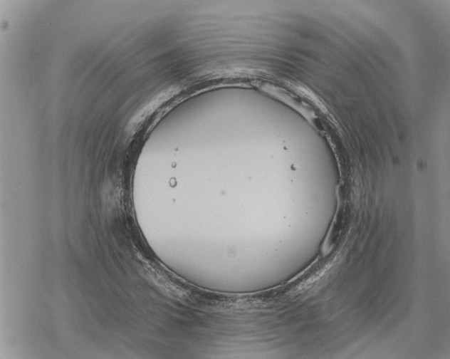 X0000078240922200611251235