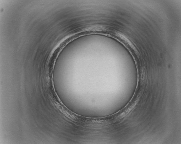 X0000078240923200611251235