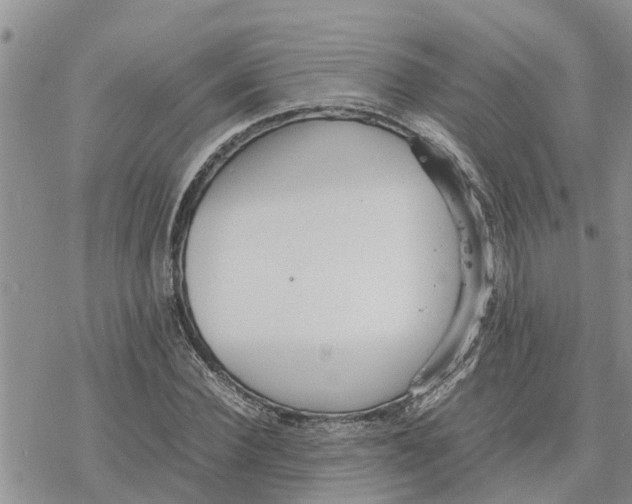 X0000078240924200611251235