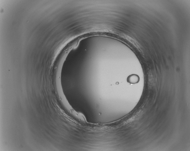 X0000078240926200611251235