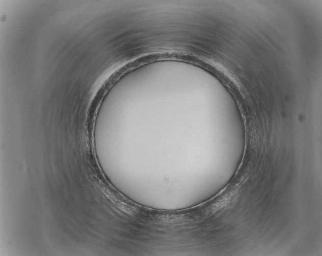 X0000078240927200611251235