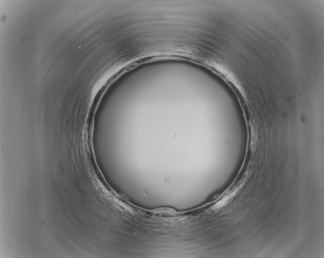 X0000078240928200611251235