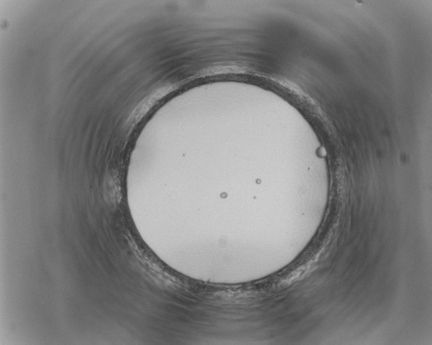 X0000078240929200611251235