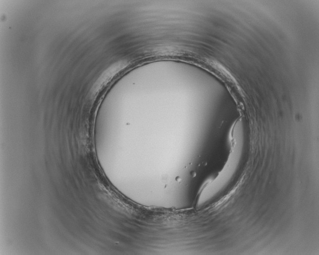 X0000078240930200611251235