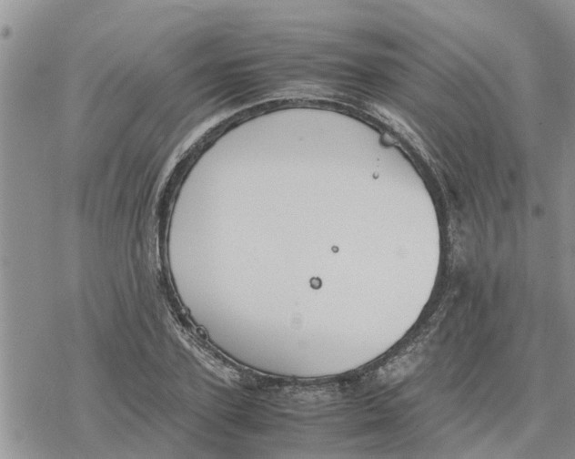 X0000078240931200611251235