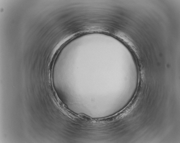 X0000078240933200611251235