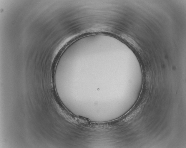 X0000078240934200611251235