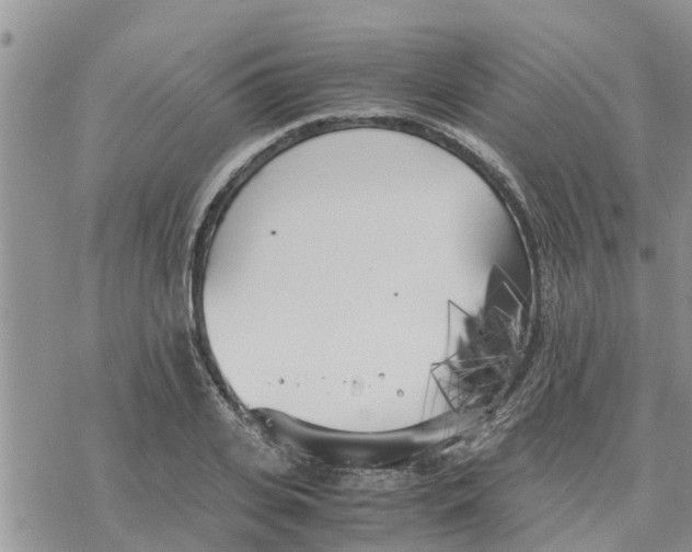 X0000078240935200611251235