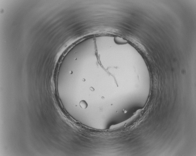 X0000078240936200611251235