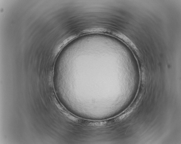 X0000078240937200611251235